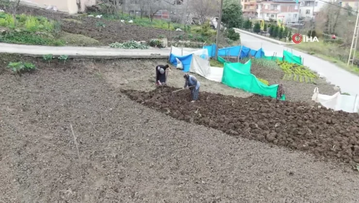 Gençler şehirleri tercih ediyor, tarlada yaşlılar çalışıyor